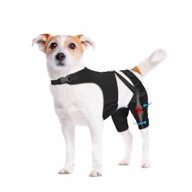 Pawfun Dog Knee Brace for Torn ACL Hind Leg, Dog Leg Brace Helps Reduce Pain from Torn CCL, Luxating Patella, Ligament Injuries, Hip Dysplasia, S