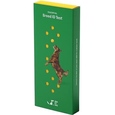 DNA MY DOG – Trusted & Affordable Breed Identification Test | 350+ Breeds Identified w/ 99%+ Accuracy | Complete Breed Analysis, Personality and Behavior Insights | Easy Cheek Swab, Results in 2 Weeks
