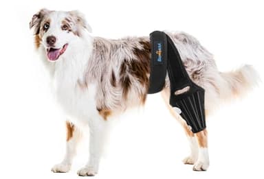 Bawektrl Dog Knee Brace for Torn ACL Hind Leg, Rear Leg Brace Support for Cruciate Ligament Injury, Joint Pain and Muscle Sore, Easy to Put On and Off Dog Braces for Back Leg