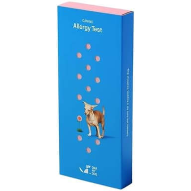 DNA MY DOG Vet-Recommended and Most Accurate Allergy Test for Itchy, Sensitive Dogs | Cheek Swab – The Gold Standard of Testing | Tests for All Common Food & Environmental Allergens | Custom Report