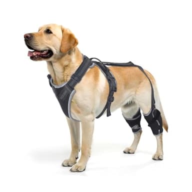 ELEGX Dog Knee Brace for Torn ACL & Hind Leg Support with Side Stabilizers– Adjustable Dog Hip & Leg Brace with Handle for Cruciate Ligament, Arthritis Relief, Joint Stability & Injury Recovery, M