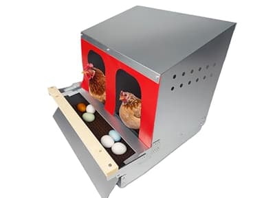 Hen's Choice™ - Reversible Roll Out Nest Box for Chickens | Roll Away Nest Box | 2 Compartment 21" | Heavy Duty Galvanized