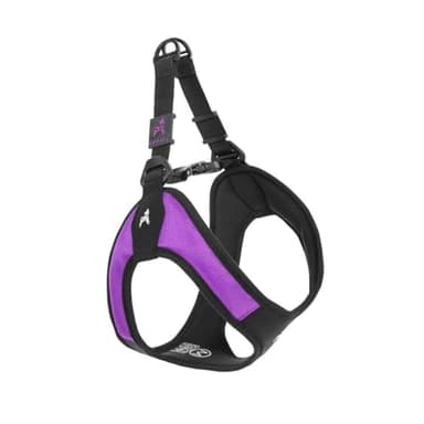 Gooby Escape Free Easy Fit Harness - Purple, Medium - No Pull Step-in Patented Small Dog Harness with Quick Release Buckle - Perfect On The Go No Pull Harness for Small Dogs or Medium Dog Harness