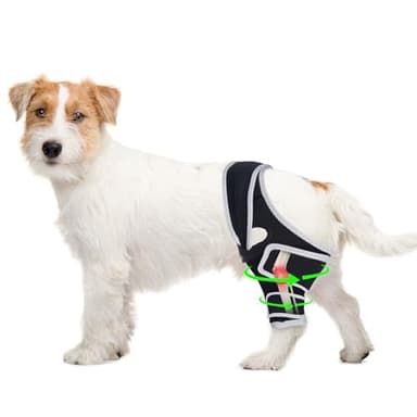Dog Knee Brace for Torn ACL Hind Leg, Rear Leg or Front Legs, Dog Knee Wrap for Luxating Patella, Help Relief Pain CCL, S