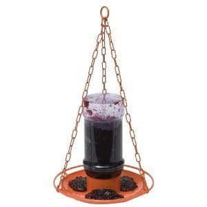 Wild Bird Feeder, Oriole Jelly Feeder