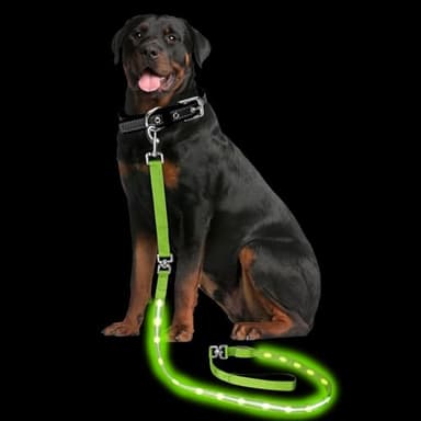 PetIsay Light up Dog Leash for Night Walking - USB C Rechargeable - Waterproof - Dog Leashes with Flashlight - LED Leash for Dogs - 6Ft, Green