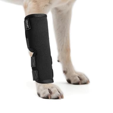 Petanims 2 Packs Dog Front Leg Brace for Remission Hyperextension - Wrist Support for Sprain, Arthritis & Injury Recovery - Adjustable Non-Slip Dog Leg Wrap, Fits Left or Right, Large
