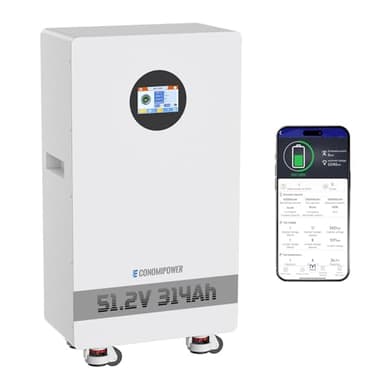 EconomiPower 48V 300Ah (314Ah) LiFePO4 Lithium Battery, 16KWh Solar Storage with WiFi&Bluetooth, RS485/CAN,8000+ Cycles 48V Battery with 200A BMS(PACE) for Photovoltaic System, RV Off-Grid, Home Use