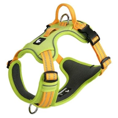 Anti-Pull Dog Harness for Miniature Schnauzer, with Handle, Adjustable Reflective Vest-Style Harness, Breathable and Soft mesh Fabric, Leash Buckles at Both The Front and Back. Green M