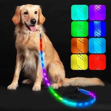 Light Up Dog Leash, LED Pet Leash for Night Walking,13 Lighting Modes, Rechargeable Dog Lights, Glow in The Dark Walking Leashes with Tangle-Free Hook for Medium Large Dogs - 4 Ft