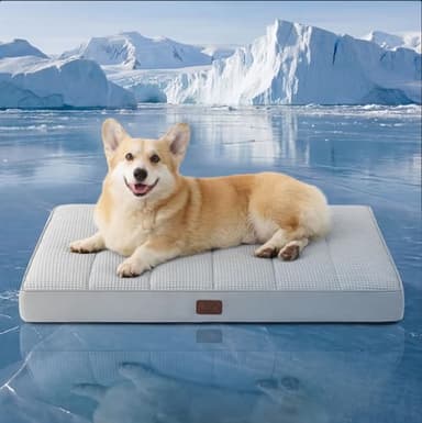 Bedsure Orthopedic Cooling Dog Bed for Crate - 35x22 Inches Large Comfy Breathable Summer Beds with Removable Washable Cover, Cold Flat Egg Crate Foam Pet Mat, Suitable for Pet Up to 50 lbs