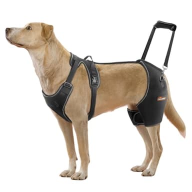 CHAMIN Dog Hip Brace with Back Handheld Design, Support for Hip Dysplasia, Arthritis, Back Leg limping, Reduce Hip Pain & Accelerated Recovery After Surgery etc(Extra Large)