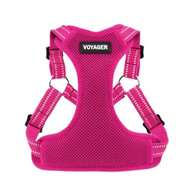 Best Pet Supplies Voyager Adjustable Step-in Flex Breathable Mesh Dog Harness for Small Medium Large Dogs (Fuchsia), S
