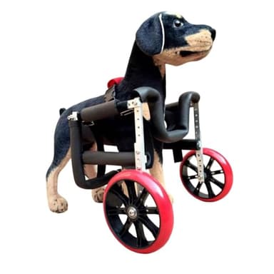 WSPWFQ Dog Front Leg Wheelchair | Sturdy, Lightweight & Stylish | Adjustable Height Rack & Comfort Foam Tubing(Xs)
