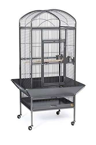 Prevue Pet Products Dometop Bird Cage - for Parrots, Conures, Caiques, Small Cockatoos, Big Bird Cage with Wheels, Indoor or Outdoor - Large, Black Hammertone