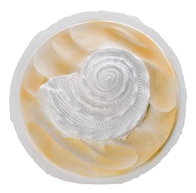 Biodegradable Urn for Scattering Cremated Ashes in Ocean Water, Ground or Sea Burial, Earth Friendly Eco Ashes (Oceanside Shell White Biodegradable Urn) W-304