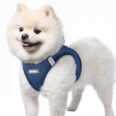 rabbitgoo Small Dog Harness, Step-in Soft Mesh Puppy Vest with Safety Buckle, Breathable Reflective Pet Harness for Small Sized Dogs, Navy Blue S