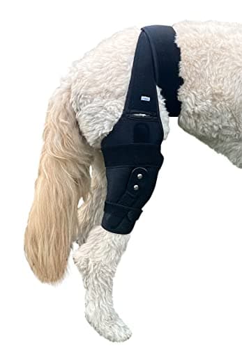Labra Dog Canine Knee Stifle Brace Wrap for Rear Right Leg, Metal Splint Hinged Flexible Support Brace for K9 ACL, CCL, Luxating Patella, Cruciate Ligament Sprains in Back, Hind Leg