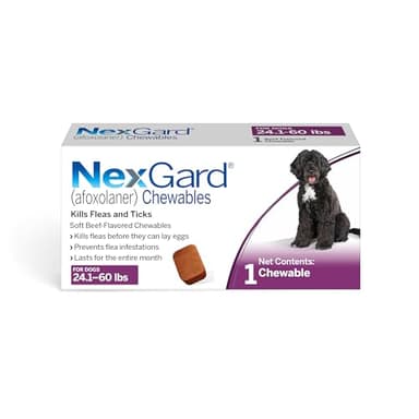 NexGard® (afoxolaner) Flea and Tick Protection for Dogs Oral Soft Beef Flavored Chewables, 24.1 to 60 lbs. (Purple Box) 1 Chew (1 Month Supply)