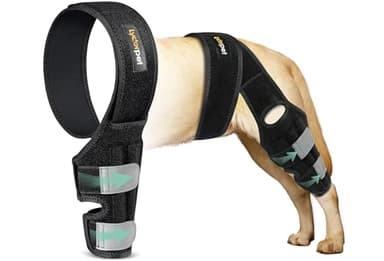 Lyderpet ACL Knee Brace for Dogs Back Leg, Canine Care CCL Brace for Dogs Hind Leg, Better Recovery Knee Brace for Rear Leg Cruciate Ligament Injuries, Reduces Pain and Inflammation XL