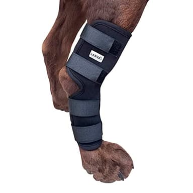Labra Dog Rear Leg Hock Joint Compression Wrap - Supportive Brace for Weak Back Legs, ACL Tear, and Joint Discomfort - Adjustable Hind Leg Support for Senior Dogs - Medium