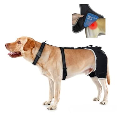 KISFLY Hip Dysplasia Brace for Dogs with Hot/Cold Pack — Breathable and Comfortable Hip Support for Mild Torn ACL, Arthritis & Post-Recovery Mobility, Size XL