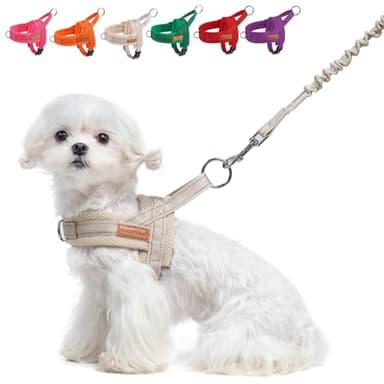 BEAUTYZOO Dog Harness for Small Dogs, No Pull Dog Harness and Leash Set, Soft Escape Proof Puppy Vest Harness with Handle, Reflective Lightweight Step in Harness for Girl Boy Dogs, Beige XS
