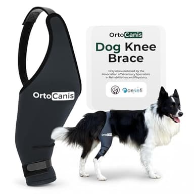 Ortocanis Dog Knee Brace for Hind Leg Support – Flexible Neoprene Knee Brace for Dogs with Joint Instability, Torn ACL, Limping or Osteoarthritis – Comfortable Support for Recovery (Large, Right Leg)