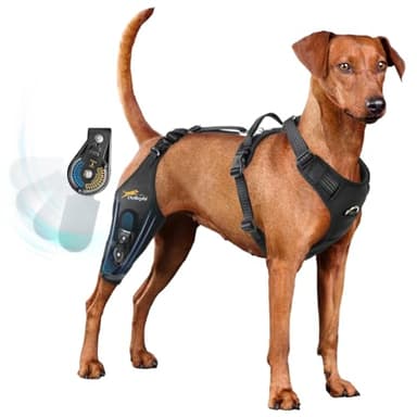 Dog Knee Brace for torn acl hind leg with Adjustable Hinge Stabilizer, Dog back brace for Osteoarthritis, Dog leg brace Support for Cruciate Ligament Injury,Recovery After,Patent Pending(Right Leg,XL)