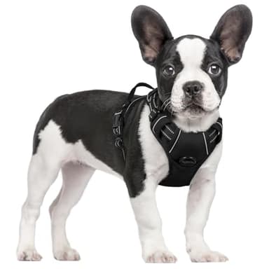 rabbitgoo Dog Harness No Pull with 2 Leash Clips, Adjustable Soft Padded, Reflective Oxford No Choke Pet Vest with Easy Control Handle for Small Dogs, Black, S
