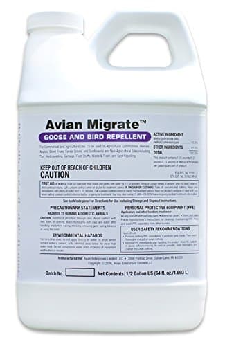Avian Migrate, Goose Deterrent, Bird Repellent Concentrate, Geese Repellent, Non-Toxic, Removes Geese from Yards, Parks, Beaches, Ponds and Ground, Made in The USA (1/2 Gallon)