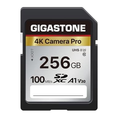 【5-Years Data Recovery】 GIGASTONE 256GB SD Card, 4K Camera Pro, A1 V30 SDXC Memory Card 4K UHD Video Compatible with Canon Digital Camera, with 1 Mini Case