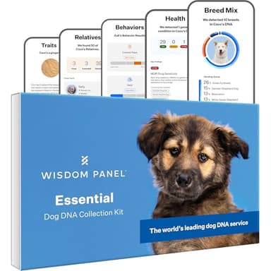 Wisdom Health Essential Dog DNA Kit | Most Accurate Test | 365+ Breeds | 30 Genetic Health Conditions | 50+ Traits, Relatives, Ancestry | Pack of 1