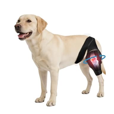 Noorace Dog Knee Brace for Torn ACL/CCL & Hind Leg Support - Adjustable Brace for Arthritis Relief, Joint Stability & Injury Recovery - Fits Small & Medium Dogs (L)