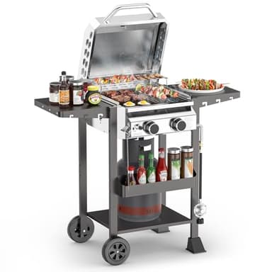 ‌2-Burner Gas Grill, Stainless Steel 160,00 BTU BBQ Grill with Foldable Side Shelves & Storage Shelf – Ideal Propane Grill for Outdoor Barbecues, Patio Gatherings, and Camping