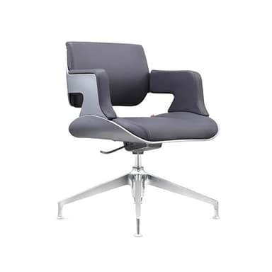 RenSJJ Computer Chair, Computer Luxurious Office Chairs Boss Gaming Office Chairs Handrail Backrest Cadeira Gamer Salon Furniture(B)
