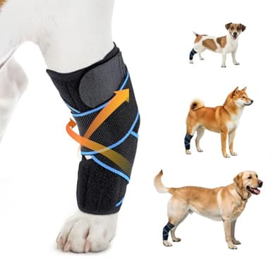 VQRAQ Dog Knee Brace for Back Leg Support, Hock Joint Compression Wrap ACL Brace for Hind Legs – Stabilizing Rear Leg Support for Senior & Overweight Dogs, Ideal for Medium & Large Breeds (M)