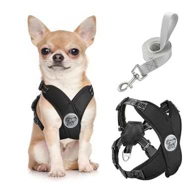 Pawaboo Small Dog Harness and Leash Set, Puppy Harness X-Frame No Pull No Choke, Dog Vest Harness Adjustable for Small Medium Sized Dogs, Soft Breathable Pet Harness for Walking Outing (S, Black)