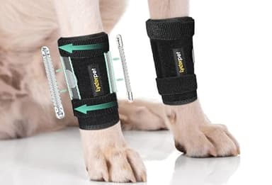 Lyderpet Dog Brace Front Leg Wrist Support, Canine Dog Carpal Brace Splint, Prevents Injuries and Sprains, Protects Carpus Joint Wounds Heals, Helps with Loss of Stability Caused by Arthritis