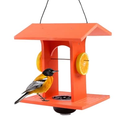Oriole Feeder for Outdoors Hanging with Gift Box, Durable HDPE Plastic Oriole Jelly Feeder w/Fruit Holder & 6oz Glass Bowl, Bird Feeder for Orioles for Garden, Patio, Backyard