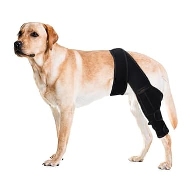 Dog Knee Brace for Torn ACL & Luxating Patella - Adjustable Compression Stabilizer, Breathable Neoprene Support for Hind/Back Leg, Post-Surgery Recovery & Arthritis Relief for Large Dogs15-21KG (M)