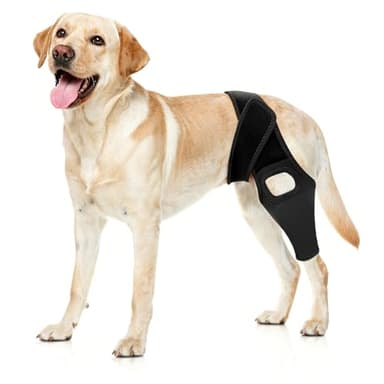 Jorme Dog Knee Brace for Torn ACL, Dog Leg Brace for Post-Surgery Recovery, Arthritis & Luxating Patella,Side Stabilizers, Breathable Neoprene, Adjustable Velcro & Belly Band,Front/Rear Legs (M)