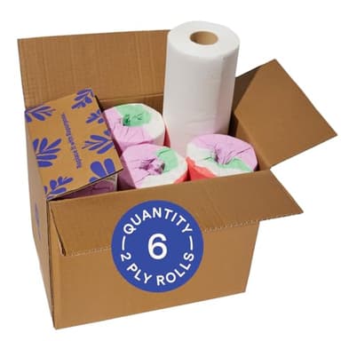 Repurpose 100% Bamboo Paper Towels, Thick 2-Ply Tree Free, Highly Absorbent & Soft, Eco-Friendly, Plastic Fee Packaging, 6 Rolls (150 Sheets/Roll) FSC Certified