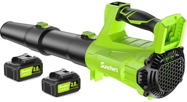 Leaf Blower Cordless with 2 x 3.0Ah Battery and Charger, 680CFM 260MPH Electric Blower with 2 Speeds, 20V Handheld Leaf Cleaner for Lawn Care, Blowing Leaves, Dust, Snow, Gravel for Patio, Yard, Green