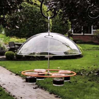 Heath Outdoor Products CF-135: Oriole Bird Feeder with Clear Dome Baffle and 4 Jars for Jelly, Nectar or Mealworms