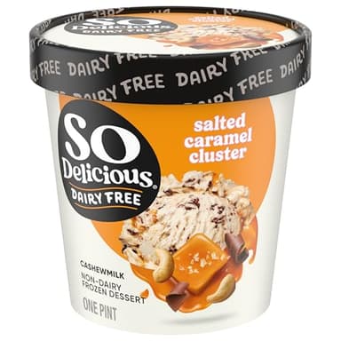So Delicious Dairy Free Cashew Milk Frozen Dessert, Salted Caramel Cluster, Vegan, Non-GMO Project Verified, 1 Pint
