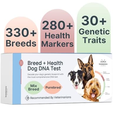 Basepaws Dog DNA Testing Kit - 330+ Breeds, 280+ Health Risks, and 30+ Traits - Comprehensive Mixed Breed Identification, Pet DNA Test kit, Canine Genetic Ancestry and Heritage