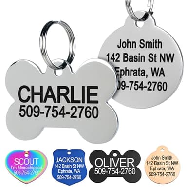 GoTags Stainless Steel Pet ID Tags, Personalized Dog Tags and Cat Tags, up to 8 Lines of Custom Text, Engraved on Both Sides, in Bone, Round, Heart, Bowtie and More (Dog Bone, Small (Pack of 1))