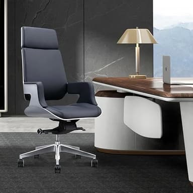 RenSJJ Computer Chair, Computer Luxurious Office Chairs Boss Gaming Office Chairs Handrail Backrest Cadeira Gamer Salon Furniture(A)