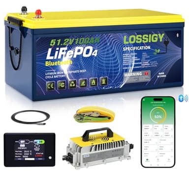 48V Lithium Golf Cart Battery, Built-in 200A BMS(1000A Peak Curren, 3-5S), Bluetooth LiFePO4 Battery with 18A Charger & LCD Monitor,Perfect for Golf Carts(100AH)